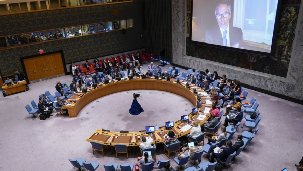 "ООН вже давно втратила свою ефективність", — Фахурдінова про необхідність реформування Радбезу ООН 
