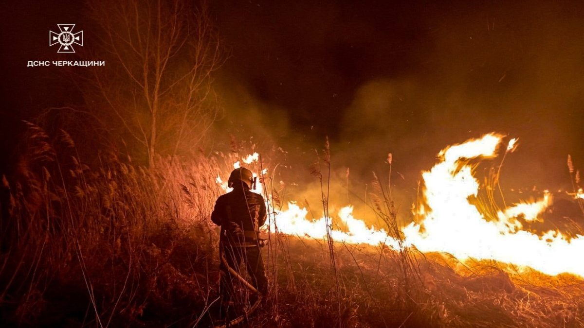 За рік кількість пожеж із сухостоєм зросла в Україні вдвічі — ДСНС